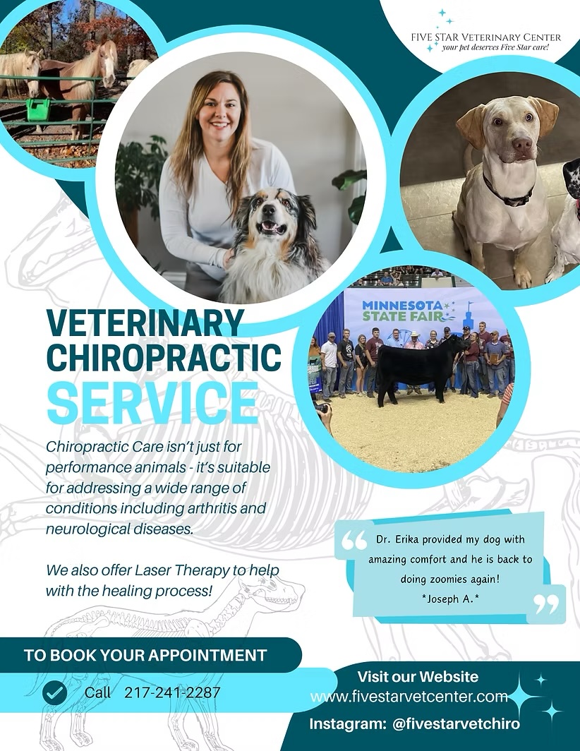Chiro Flyer Chiro Flyer